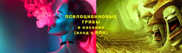 ГАЛЛЮЦИНОГЕННЫЕ ГРИБЫ Богородицк