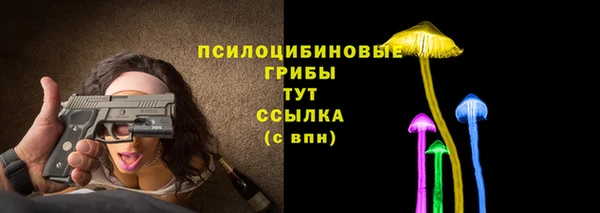 ГАЛЛЮЦИНОГЕННЫЕ ГРИБЫ Богородицк