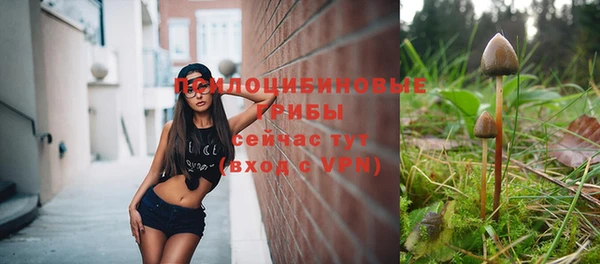 МДПВ Богданович