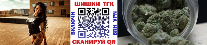 Конопля White Widow  наркошоп  Дорогобуж 